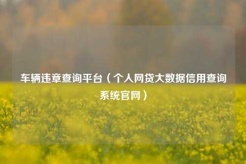 车辆违章查询平台（个人网贷大数据信用查询系统官网）