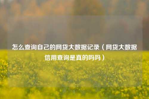 怎么查询自己的网贷大数据记录（网贷大数据信用查询是真的吗吗）