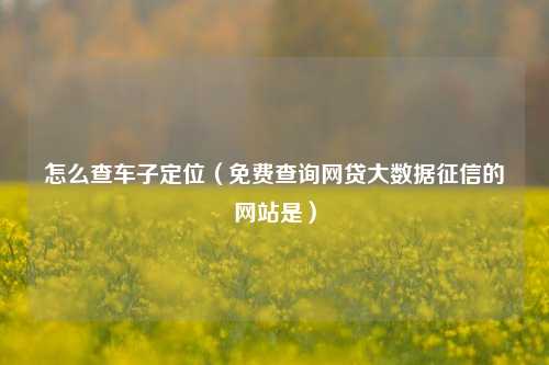 怎么查车子定位（免费查询网贷大数据征信的网站是）