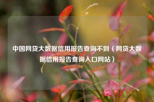 中国网贷大数据信用报告查询不到（网贷大数据信用报告查询入口网站）