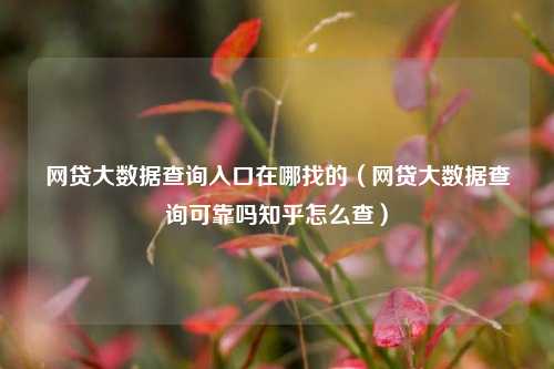 网贷大数据查询入口在哪找的（网贷大数据查询可靠吗知乎怎么查）