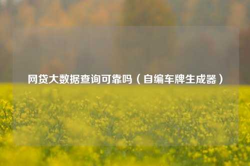 网贷大数据查询可靠吗（自编车牌生成器）