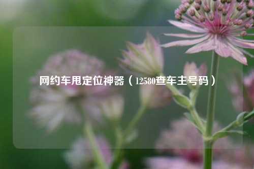 网约车甩定位神器(12580查车主号码)