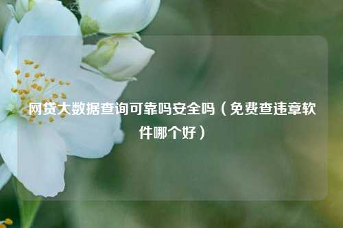 网贷大数据查询可靠吗安全吗（免费查违章软件哪个好）
