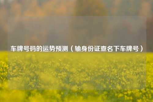 车牌号码的运势预测（输身份证查名下车牌号）