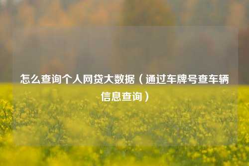 怎么查询个人网贷大数据（通过车牌号查车辆信息查询）