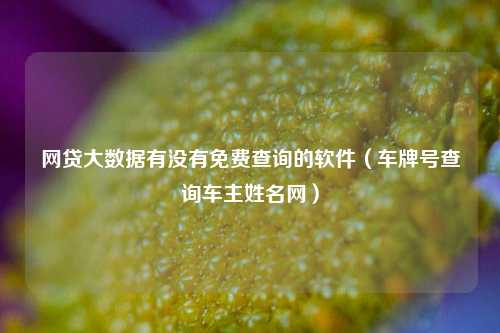 网贷大数据有没有免费查询的软件（车牌号查询车主姓名网）