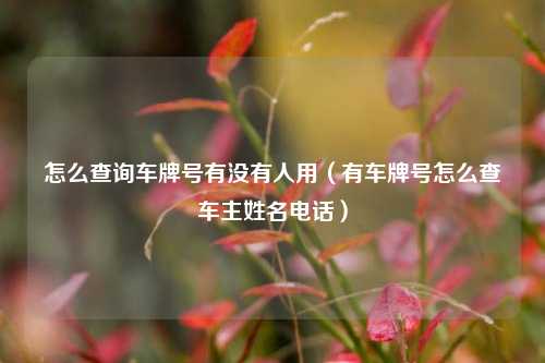 怎么查询车牌号有没有人用(有车牌号怎么查车主姓名电话)