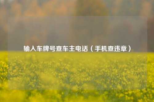 输入车牌号查车主电话(手机查违章)