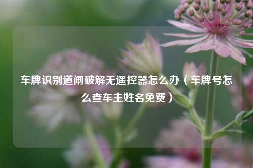车牌识别道闸破解无遥控器怎么办（车牌号怎么查车主姓名免费）