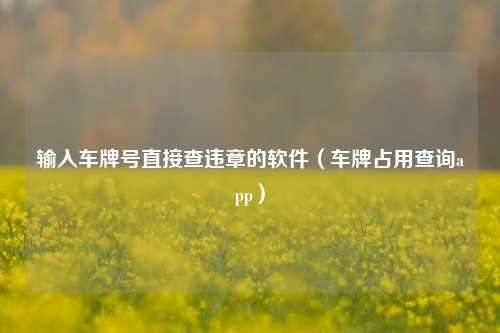 输入车牌号直接查违章的软件（车牌占用查询app）