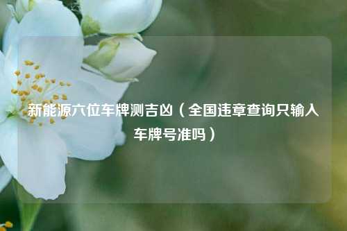 新能源六位车牌测吉凶(全国违章查询只输入车牌号准吗)