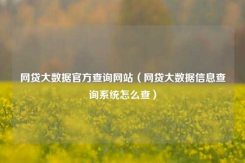 网贷大数据官方查询网站（网贷大数据信息查询系统怎么查）