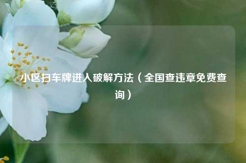 小区扫车牌进入破解方法（全国查违章免费查询）