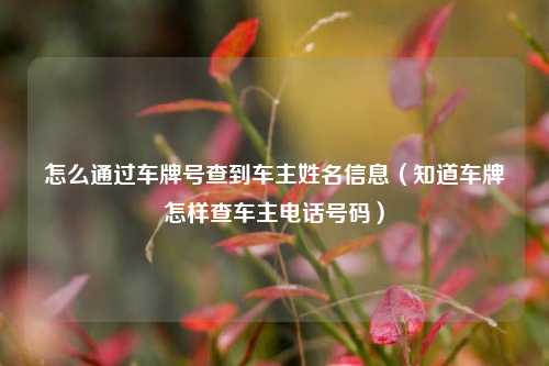 怎么通过车牌号查到车主姓名信息(知道车牌怎样查车主电话号码)