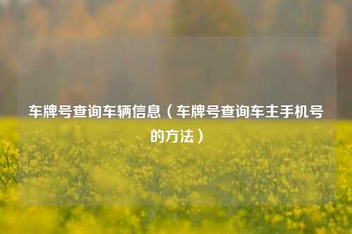 车牌号查询车辆信息(车牌号查询车主手机号的方法)