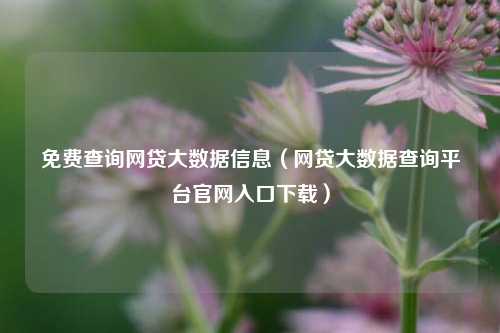 免费查询网贷大数据信息（网贷大数据查询平台官网入口下载）