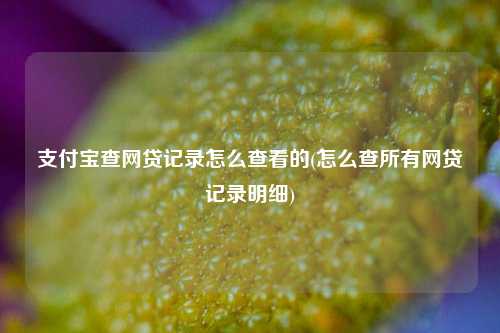 支付宝查网贷记录怎么查看的(怎么查所有网贷记录明细)