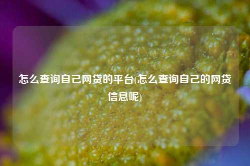 怎么查询自己网贷的平台(怎么查询自己的网贷信息呢)