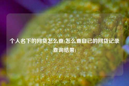 个人名下的网贷怎么查(怎么查自己的网贷记录查询结果)