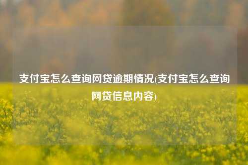 支付宝怎么查询网贷逾期情况(支付宝怎么查询网贷信息内容)