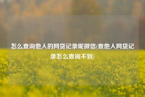 怎么查询他人的网贷记录呢微信(查他人网贷记录怎么查询不到)