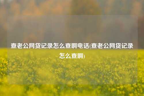 查老公网贷记录怎么查啊电话(查老公网贷记录怎么查啊)