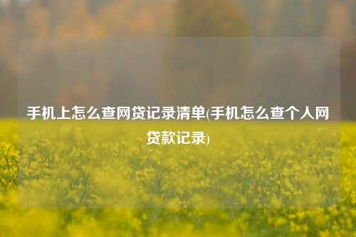 手机上怎么查网贷记录清单(手机怎么查个人网贷款记录)