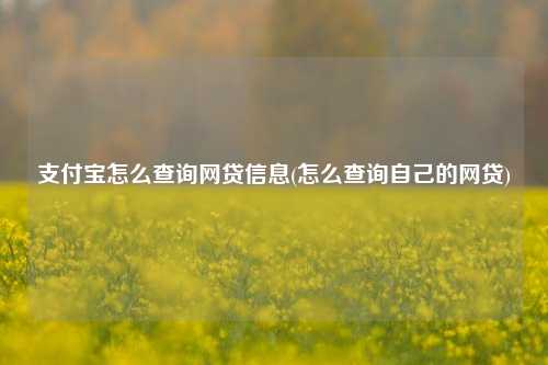 支付宝怎么查询网贷信息(怎么查询自己的网贷)
