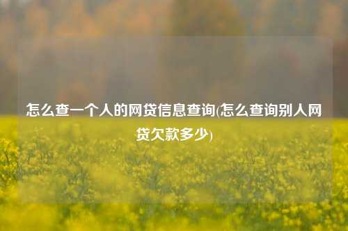 怎么查一个人的网贷信息查询(怎么查询别人网贷欠款多少)