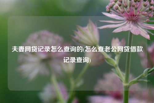 夫妻网贷记录怎么查询的(怎么查老公网贷借款记录查询)