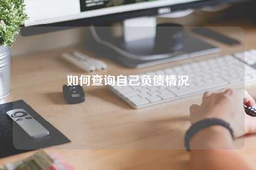 如何查询自己负债情况