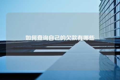 如何查询自己的欠款有哪些