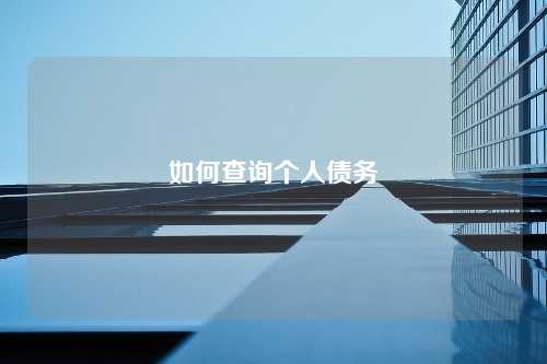 如何查询个人债务