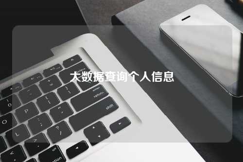 大数据查询个人信息