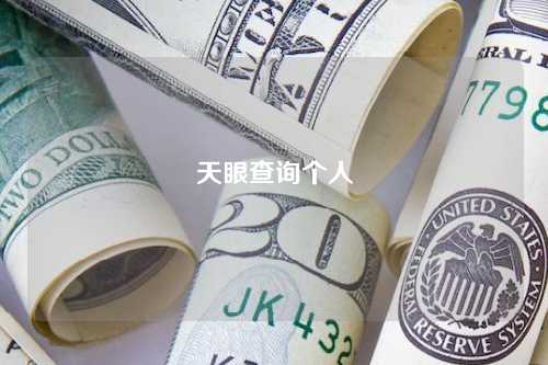 天眼查询个人