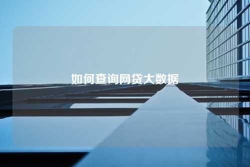 如何查询网贷大数据